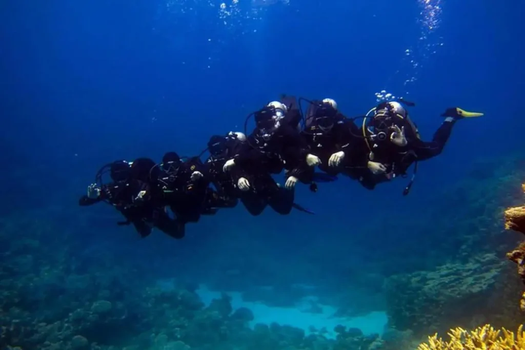 Excursion de plongée à Hurghada