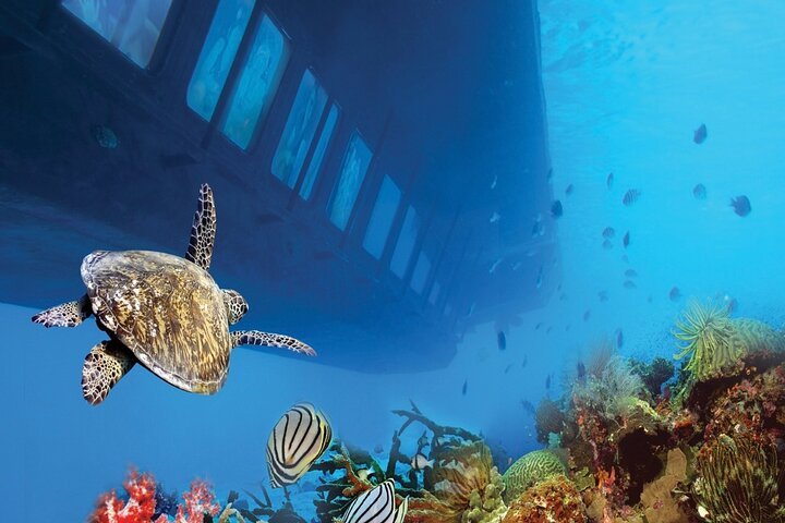 Excursii cu barca în Marsa Alam