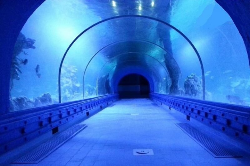 grand aquarium Hurghada