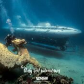 Sindbad Submarine Tour 2 FB IMG 1686111202740