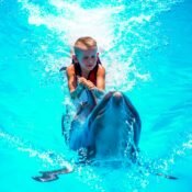 IMG 20220606 WA0024