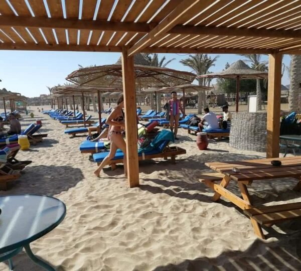 Excursions in Marsa Alam 6 Abu Dabbab snorkeling tour in Marsa Alam