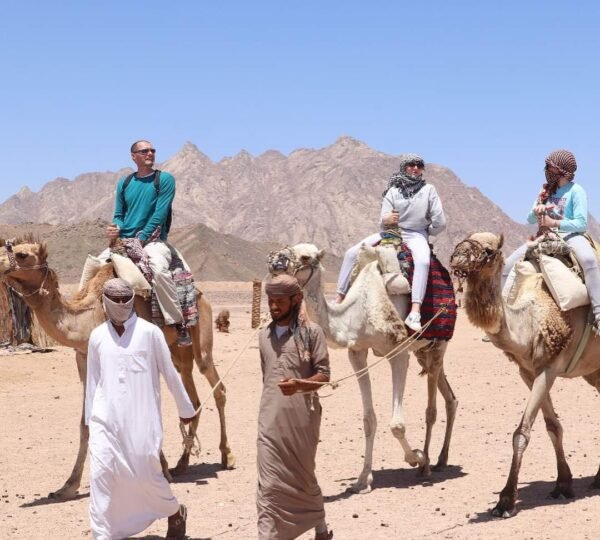 Adventure safari in Hurghada 9 Adventure safari in Hurghada