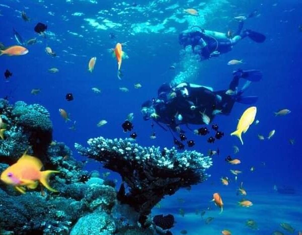 Sea trips in Hurghada 5 Sea Trips In Hurghada