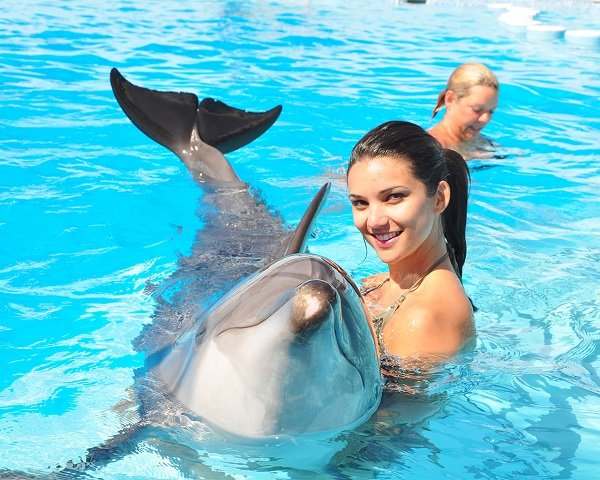 Photo Session with Dolphins And Transfer
