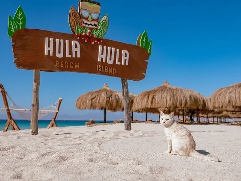 Wycieczki VIP na Rejs Hula Hula w Hurghadzie