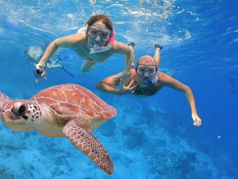 Plaja Abu Dabbab – înotați cu dugongi și țestoase din Hurghada