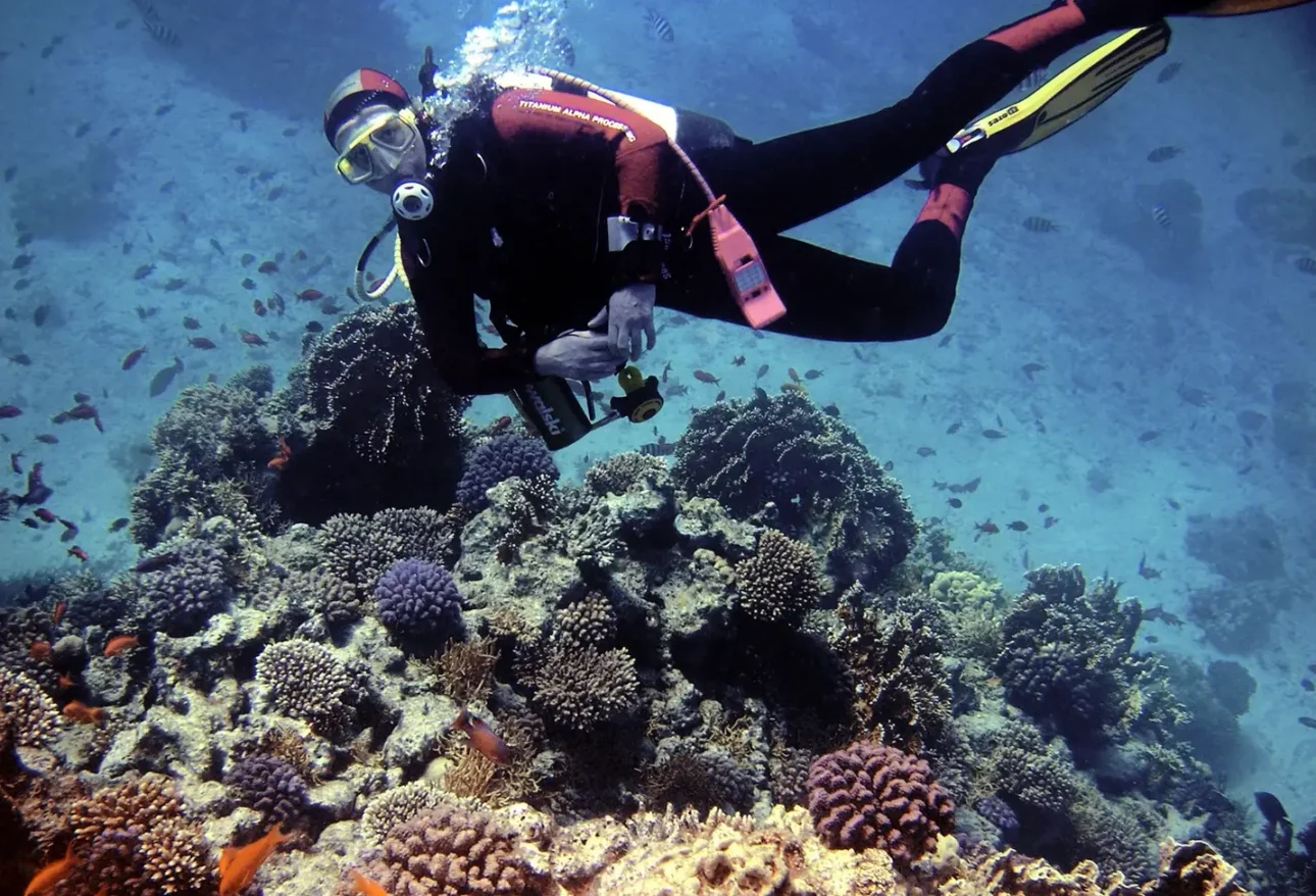 hurghada diving excursions