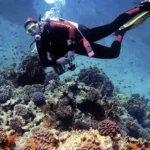 hurghada diving excursions