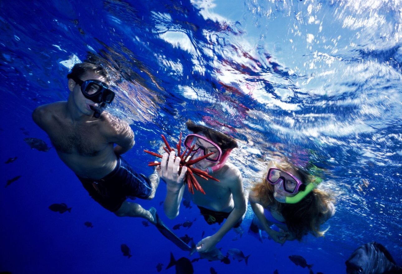 Marsa Alam snorkeling excursions