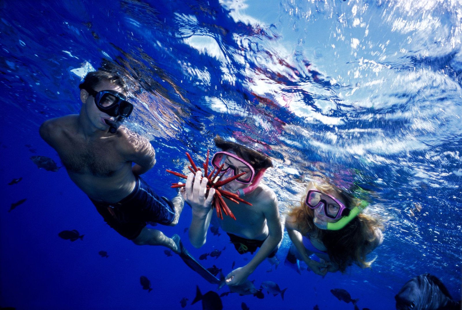 Marsa Alam snorkeling excursions